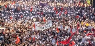 ‘Protestë me shumë parulla e kërkesa, por pak qartësi’, Rama ndan postimin e anëtarit të AAK-së: Flamingoja është simboli, jo arsyeja