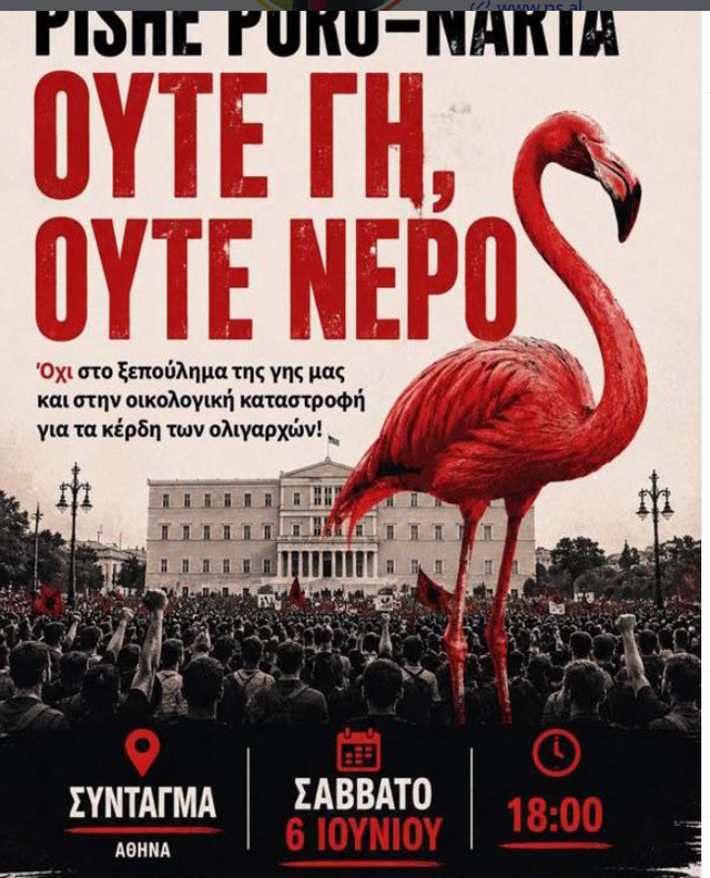  Flamingo Revolution   një axhendë politike anti Trump 
