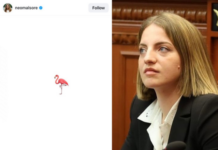 Mori mandatin nga socialistët dhe del e pavaruar, Marjana Koçeku reagon për herë të parë! Mjaftohet me simbolin e flamingos