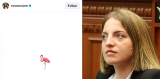 Mori mandatin nga socialistët dhe del e pavaruar, Marjana Koçeku reagon për herë të parë! Mjaftohet me simbolin e flamingos