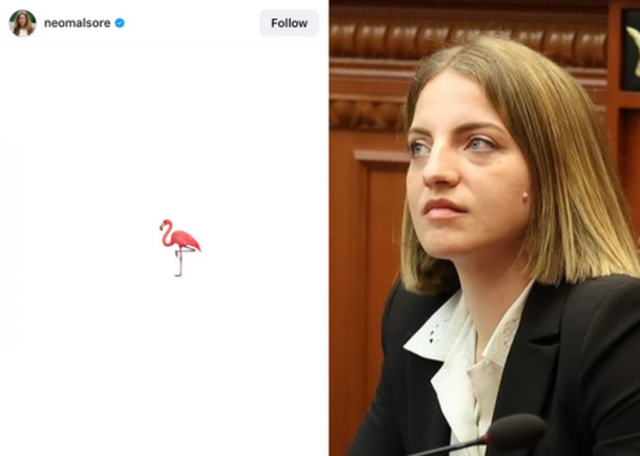 Mori mandatin nga socialistët dhe del e pavaruar  Marjana Koçeku reagon për herë të parë  Mjaftohet me simbolin e flamingos