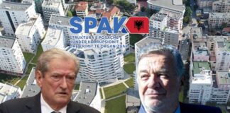 Ylli Pango “tradhëton” Sali Berishën në gjyq si dëshmimtar: Kam qenë pro privatizimit, por jo ndryshimit të destinacionit