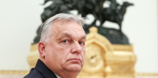 Orban rizgjidhet kryetar i ‘Fidesz’ pavarësisht humbjes së zgjedhjeve në Hungari