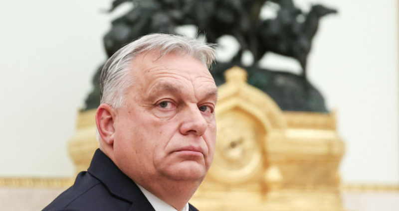 Orban rizgjidhet kryetar i  Fidesz  pavarësisht humbjes së zgjedhjeve në Hungari
