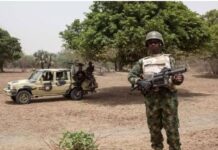 Masakër në Nigeri, grupi i armatosur ekzekuton 17 fermerë