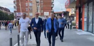 Zgjedhjet e parakohëshme në Kosovë, Lista Serbe sërish voton në grup