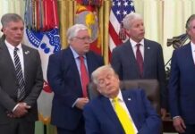 Nga Trump te Lotito, politika e përgjumur në korridoret e pushtetit