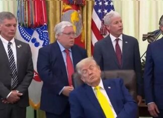 Nga Trump te Lotito, politika e përgjumur në korridoret e pushtetit