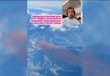 Rama ndan videon AI me flamingot që ikin drejt Maqedonisë së Veriut: Duhet të jesh idiot të sajosh të tilla gjëra, pasi akoma s’ka projekt për Zvërnecin