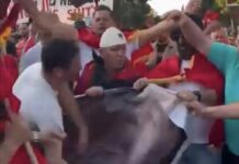 Shqipëria vazhdon te sillet si një vend që ende nuk ka kaluar nga fisi tek qyteti