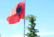 “Le të takohemi te kutia e votimit”, Admir Kadeli: Shqipëria nuk mund të jetë kostoja e ambicieve politike
