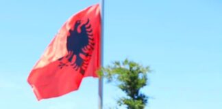 “Le të takohemi te kutia e votimit”, Admir Kadeli: Shqipëria nuk mund të jetë kostoja e ambicieve politike