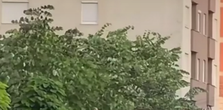 Ulsi Manja: S’ka hajvanllëk më të madh se sa të vish nga Kosova për të rrëzuar qeverinë në Tiranë, Kurti pse nuk distancohet?