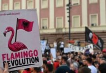 Sulmet dhe kërcënimet ndaj gazetarëve në protestë, reagon AGSH: Të respektohet siguria e gazetarëve në terren