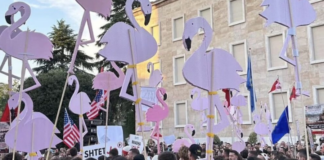 Historia dhe lëvizja e “Revolucionit Flamingo”