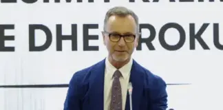 Vettingu në sistemin e drejtësisë, Gonzato: Vetëm përmes reformave, Shqipëria afrohet me Bashkimin Europian