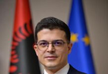 Krahas brohoritjeve për një Shqipëri të re, unë jam për një Shqipëri të fortë