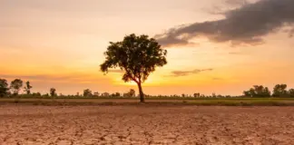 Fillon zyrtarisht ‘El Nino’, shkencëtarët ngrenë alarmin për temperaturat e larta: Këtë vit mund të jetë një nga episodet me të forta