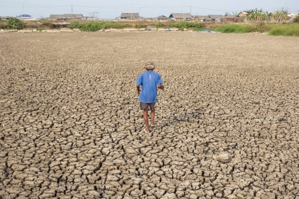 Organizata Botërore Meteorologjike paralajmëron El Niño të fuqishme këtë verë  rritet rreziku i motit ekstrem global