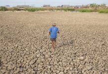 Organizata Botërore Meteorologjike paralajmëron El Niño të fuqishme këtë verë, rritet rreziku i motit ekstrem global