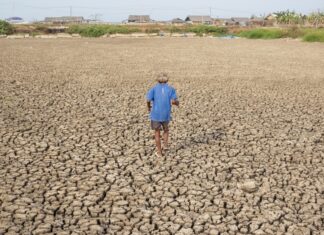 Organizata Botërore Meteorologjike paralajmëron El Niño të fuqishme këtë verë, rritet rreziku i motit ekstrem global
