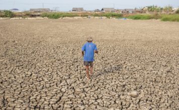 Organizata Botërore Meteorologjike paralajmëron El Niño të fuqishme këtë verë, rritet rreziku i motit ekstrem global