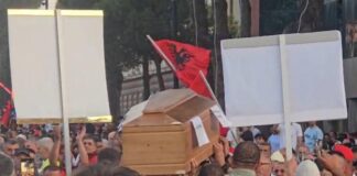 Arkivoli në shesh