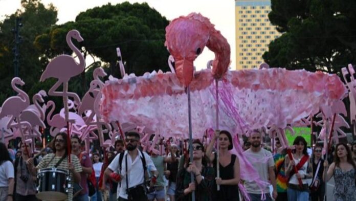 1784395440_paradaeflamingos