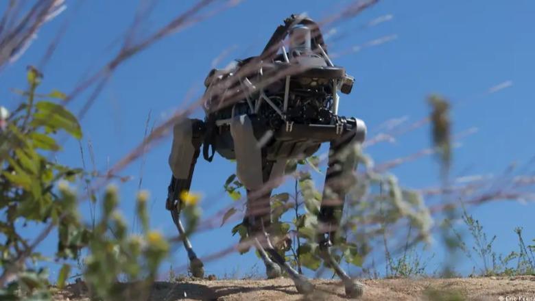 Çfarë nuk mund të bëjë inteligjenca artificiale 