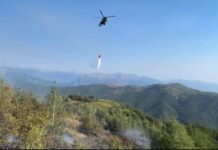 Përfshihet nga flakët pylli i Iballes në Fushë-Arrëz, nis ndërhyrja nga ajri! Zjarri dyshohet i qëllimshëm