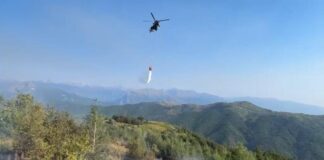 Përfshihet nga flakët pylli i Iballes në Fushë-Arrëz, nis ndërhyrja nga ajri! Zjarri dyshohet i qëllimshëm
