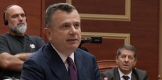 Protesta/ Balla i kthehet Muçit: Vazhdoj të të quaj sorrë, bashkë me Gonen e Llapin, flamingot e vërteta e braktisën llumin e kënetës