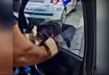 Lamallari: Xhamat e errësuar pa leje do të hiqen, rregullat janë njësoj për të gjithë