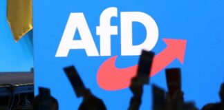 Vala e AfD-së mbërrin në Berlin: ekstremi i djathtë kryeson për herë të parë në sondazhe