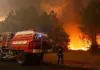 Zjarre masive në jugperëndim të Francës, evakuohen mbi 20 mijë persona, rritja e temperaturave përkeqëson situatën
