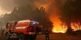 Zjarre masive në jugperëndim të Francës, evakuohen mbi 20 mijë persona, rritja e temperaturave përkeqëson situatën