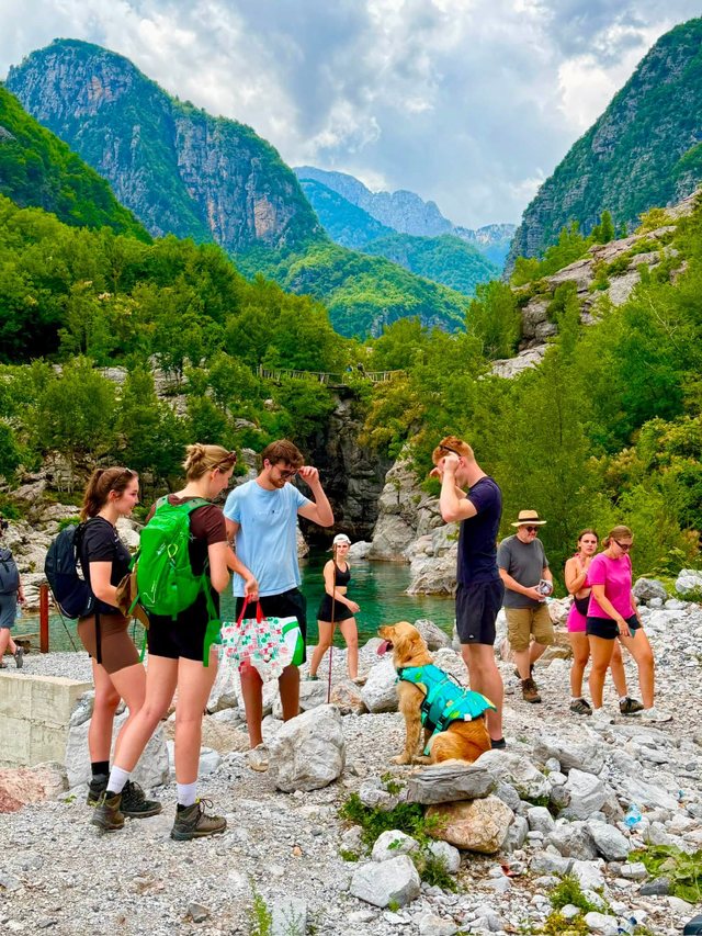 Arsyet e bombaridimit të industrisë së turizmit nga flamingot