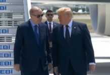 Samiti i NATO-s në Turqi, presidenti Trump pritet nga Erdogan!