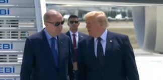 Samiti i NATO-s në Turqi, presidenti Trump pritet nga Erdogan!