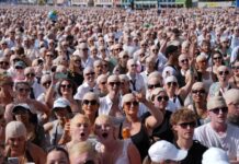 Rekord, por jo në muzikë! Pitbull hyn në Guinness, mbledh turmën më të madhe të ‘tullacëve’