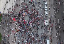 Balla publikon foton nga protesta: Qytetarët u distancuan nga dhuna e talebanëve të maskuar si flamingo