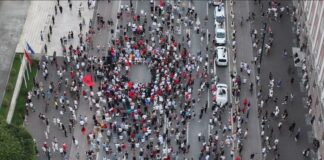 Balla publikon foton nga protesta: Qytetarët u distancuan nga dhuna e talebanëve të maskuar si flamingo
