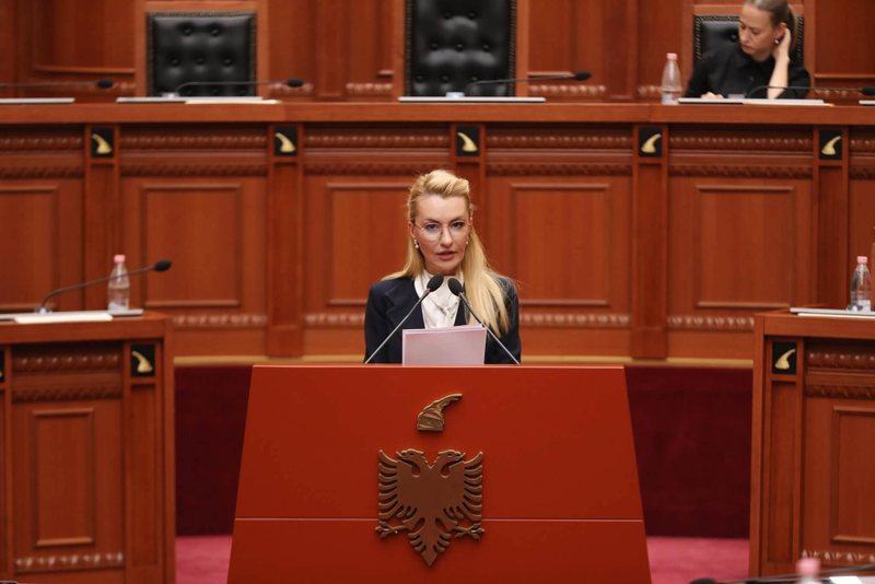 Propozimi  Romina Kuko  Platformat dixhitale të mbajnë përgjegjësi ligjore për përmbajtjen e dëmshme dhe mbrojtjen e të miturve