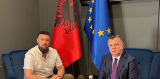 Balla pret përfaqësuesin e diasporës shqiptare në Zvicër: Diaspora shqiptare është një vlerë e çmuar për vendin