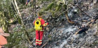 Zjarri në Parkun Kombëtar të Llogarasë ende aktiv, 20 efektivë të FA-së në terren për shuarjen e flakëve