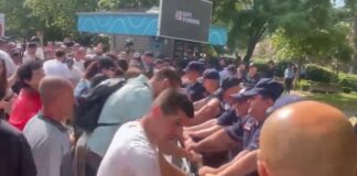 “Protestuesi nuk u dhunua”/ Avokati i Popullit: Protestuesi nuk është goditur në ambientet e policisë