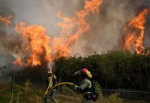 Madridi në alarm nga zjarret/ Qindra zjarrfikës po luftojnë me flakët në veri të kryeqytetit spanjoll