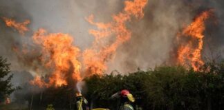 Madridi në alarm nga zjarret/ Qindra zjarrfikës po luftojnë me flakët në veri të kryeqytetit spanjoll