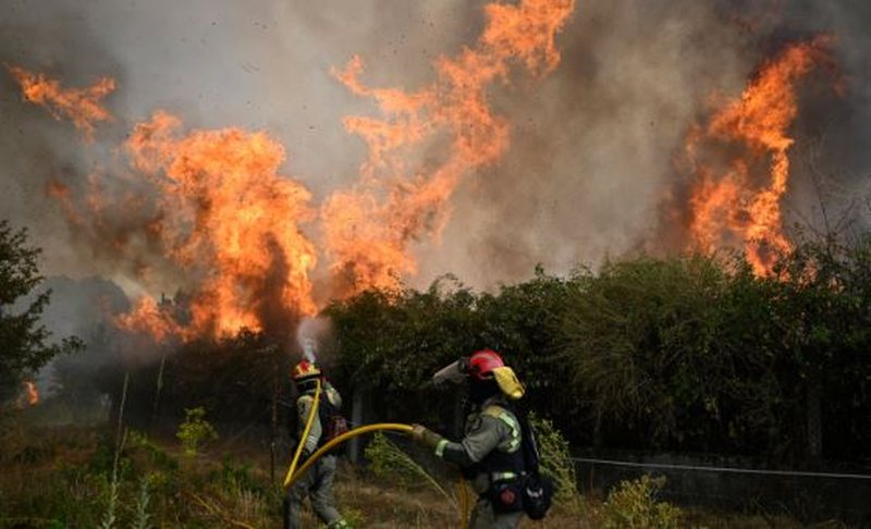 Madridi në alarm nga zjarret  Qindra zjarrfikës po luftojnë me flakët në veri të kryeqytetit spanjoll