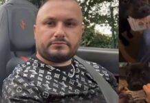 S’ndalet Dorian Puka, video duke “ushqyer” qentë me kartëmonedha paund, The Telegraph vijon të sfidojë qeverinë angleze
